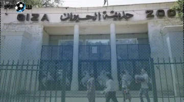 موعد افتتاح حديقة حيوان الجيزة 2025 وأسعار التذاكر الجديدة